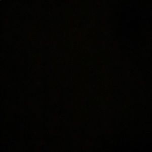 Meet your Posher, Dylan